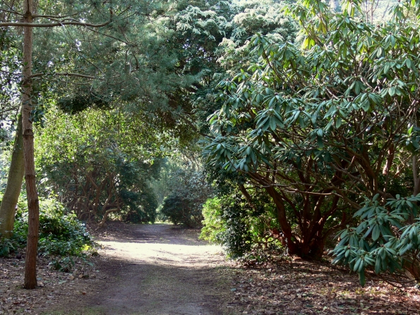 Bois des Moutiers (23) mars 2012